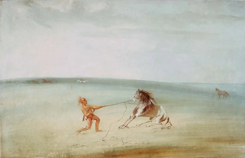 Zerlege das wilde Pferd - George Catlin