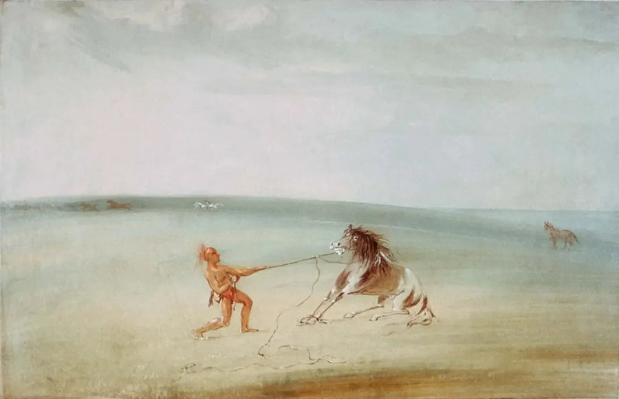 Zerlege das wilde Pferd - George Catlin