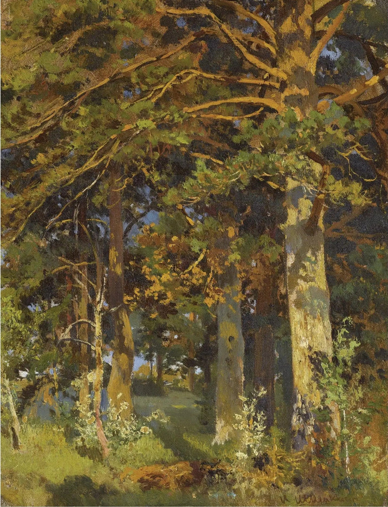 Forstliche Rodung - Ivan Chichkine