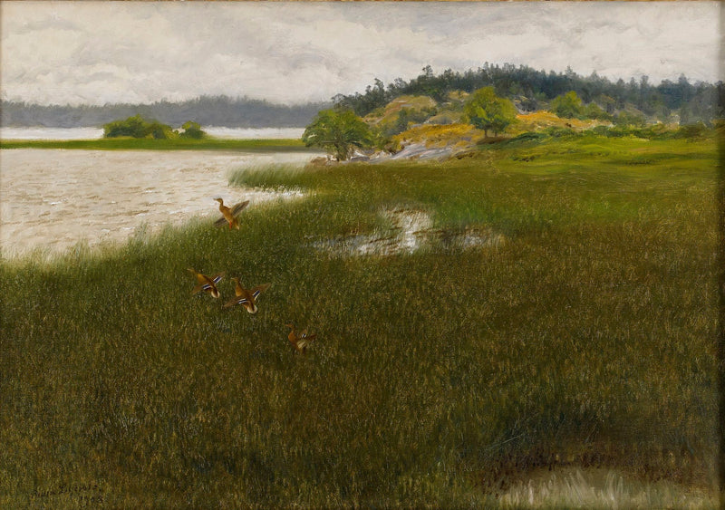 Enten heben ab – Bruno Liljefors
