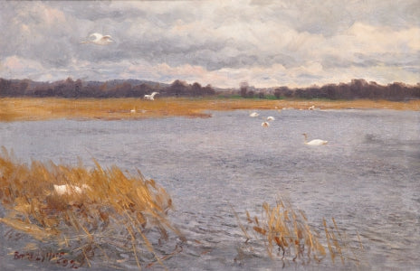 Schwäne am Bach – Bruno Liljefors