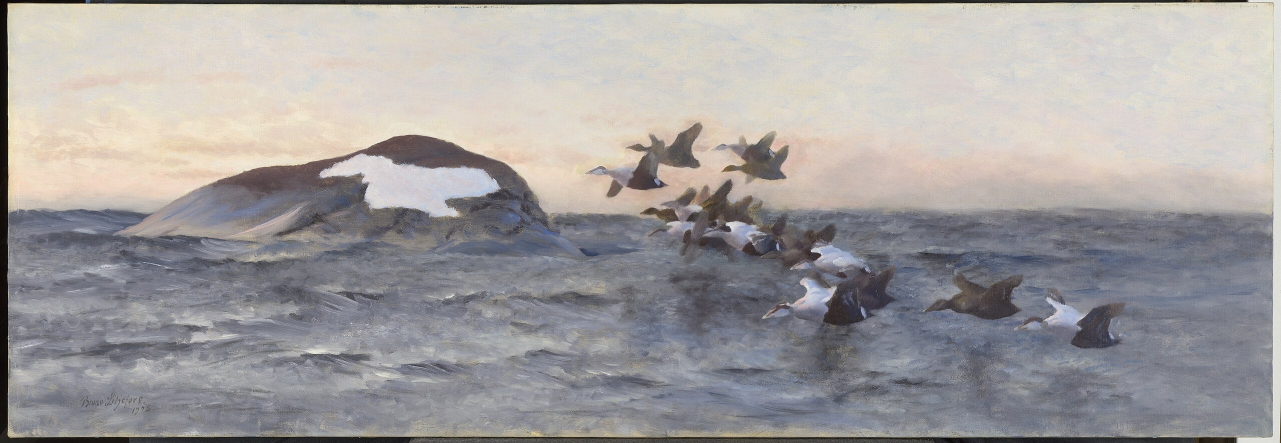Des eiders volant près d'une falaise - Bruno Liljefors image 1 copie de tableau peinte à la main