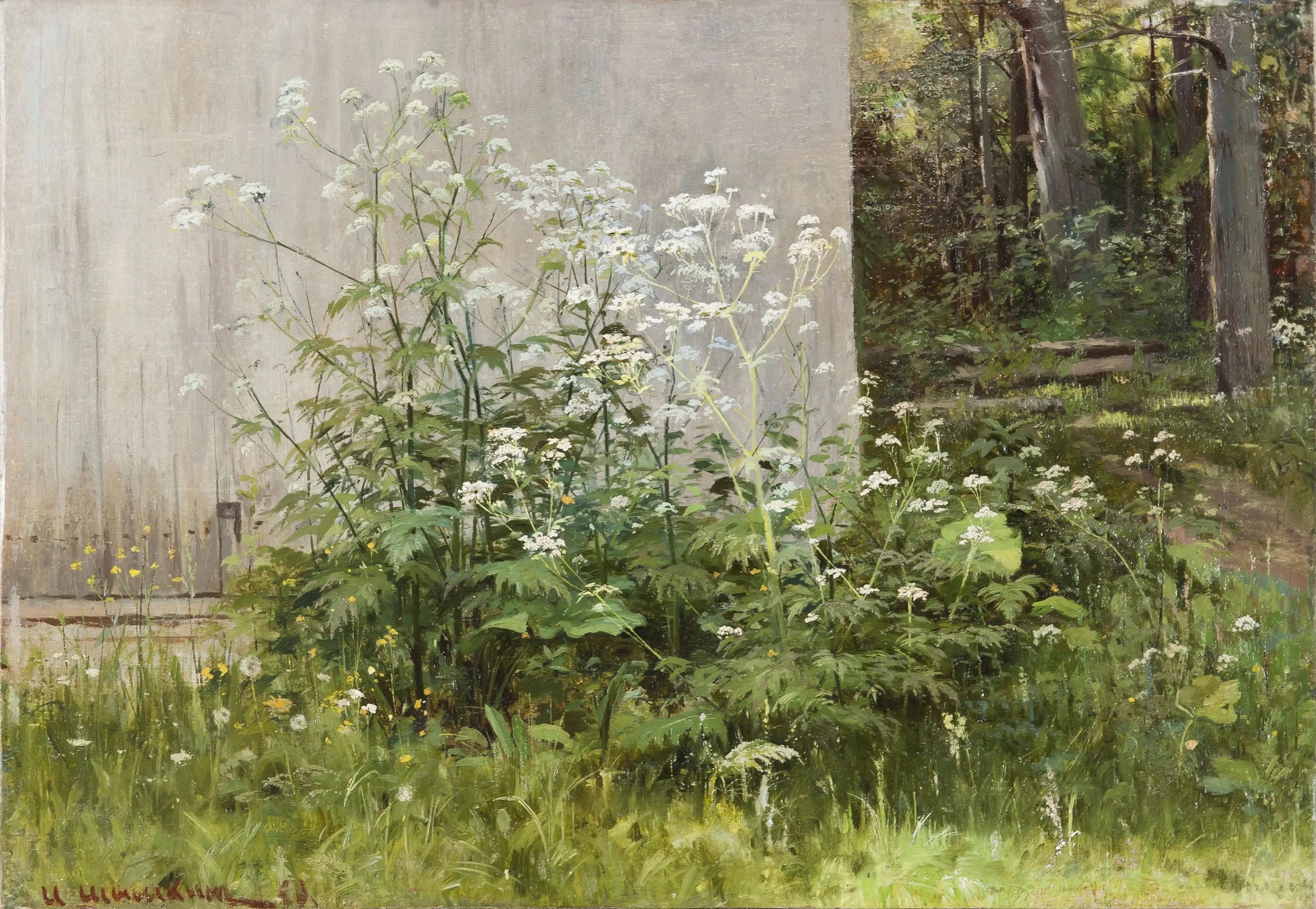 Des fleurs à la clôture - Ivan Chichkine image 1 reproduction artisanale de tableau