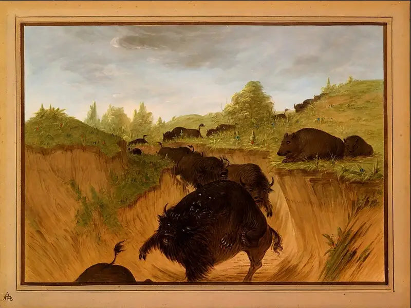 Grizzlis greifen Bisons an - George Catlin
