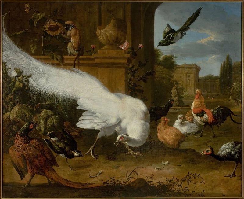 Geflügel und ein weißer Pfau - Melchior de Hondecoeter