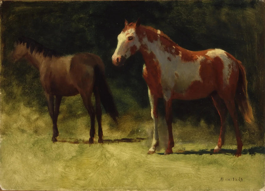 Zwei Pferde - Albert Bierstadt
