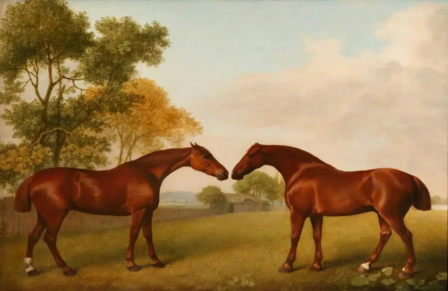 Zwei Pferde in einem Gehege - George Stubbs