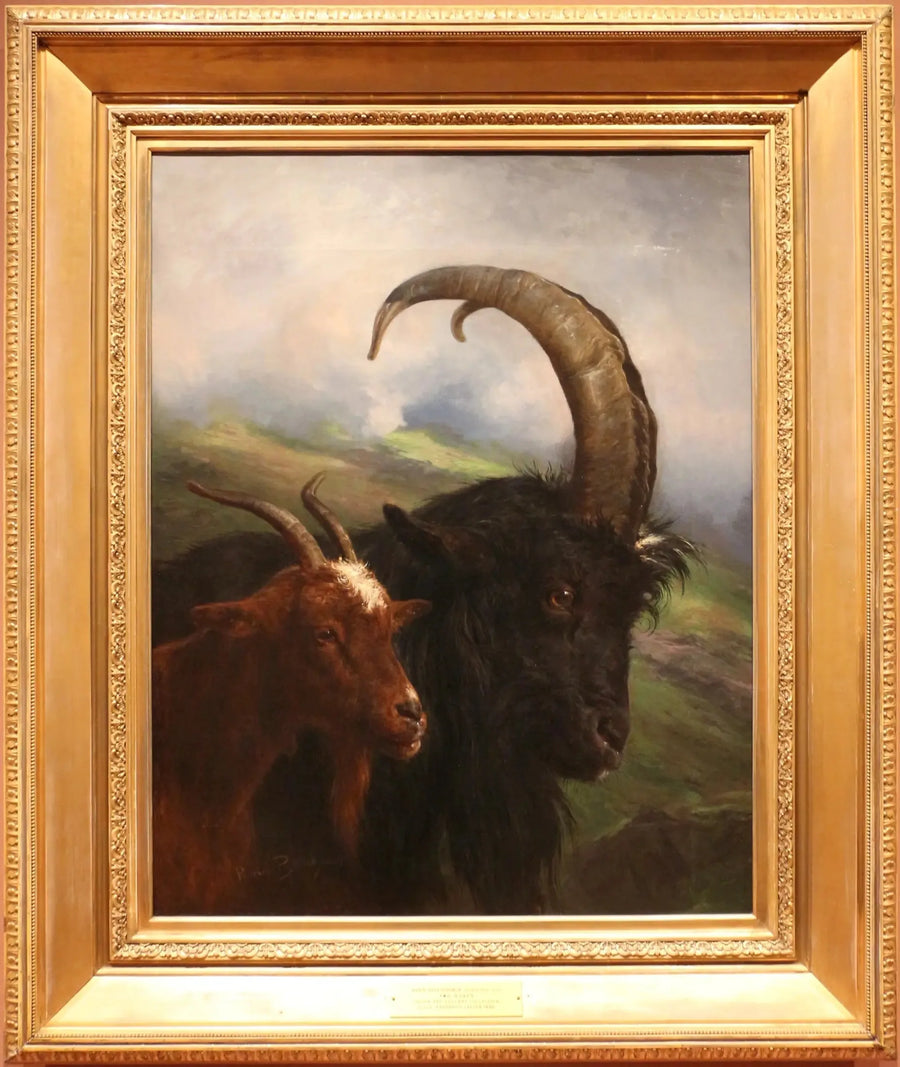 Zwei Ziegen - Rosa Bonheur