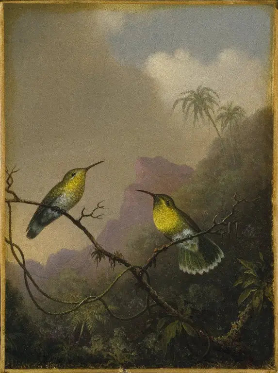 Zwei Kolibris: Der Kupfer-Schweif-Amazili - Martin Johnson Heade