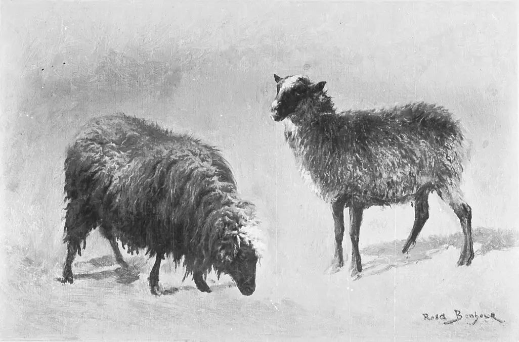 Deux moutons dans le pâturage - Rosa Bonheur - Alpha Reproduction