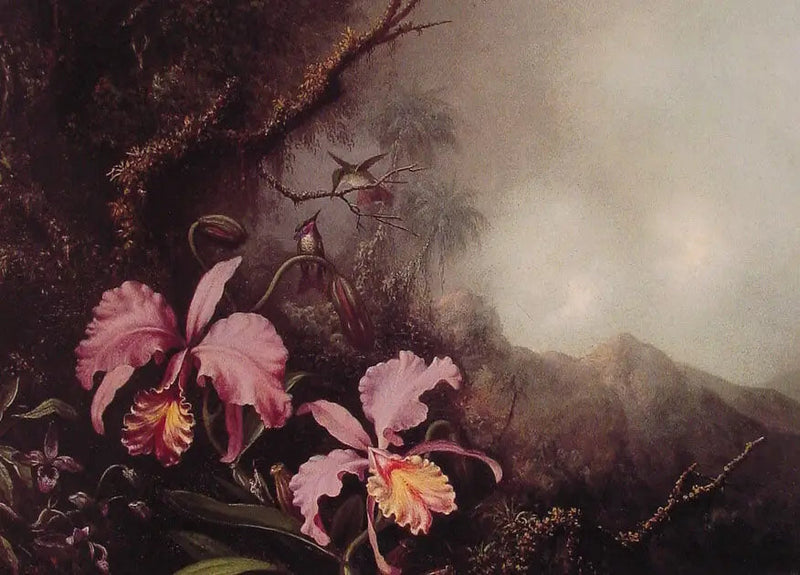Zwei Orchideen in einer Berglandschaft - Martin Johnson Heade