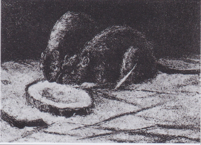 Zwei Ratten - Vincent van Gogh