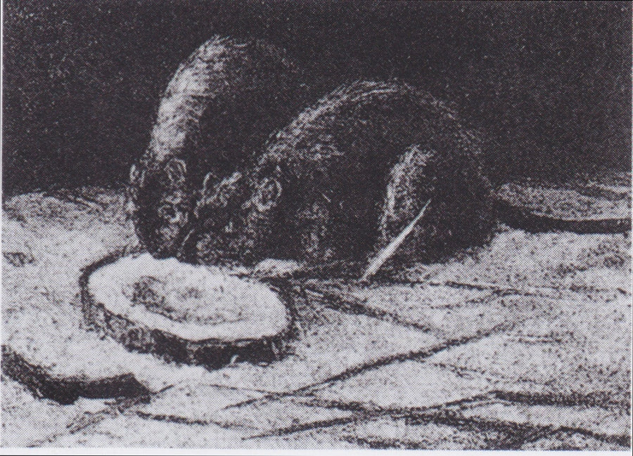 Zwei Ratten - Vincent van Gogh