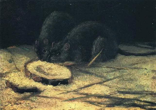 Zwei Ratten - Vincent van Gogh
