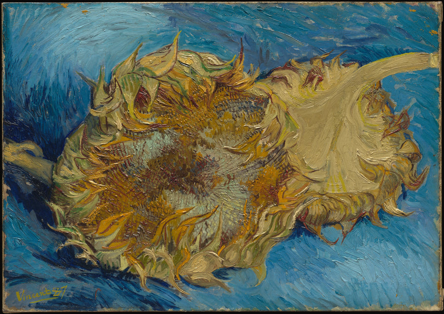 Zwei Sonnenblumen - Vincent van Gogh