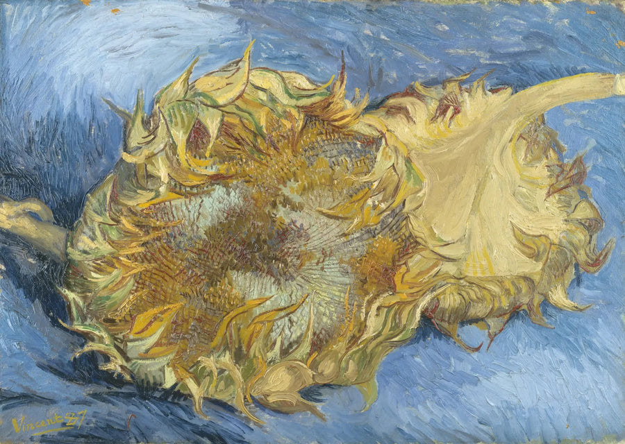 Zwei Sonnenblumen - Vincent van Gogh