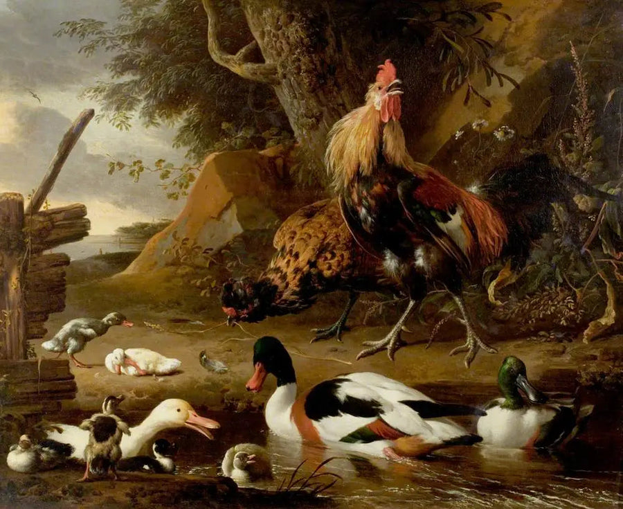 Zwei Geflügel und Enten auf einem Teich - Melchior de Hondecoeter