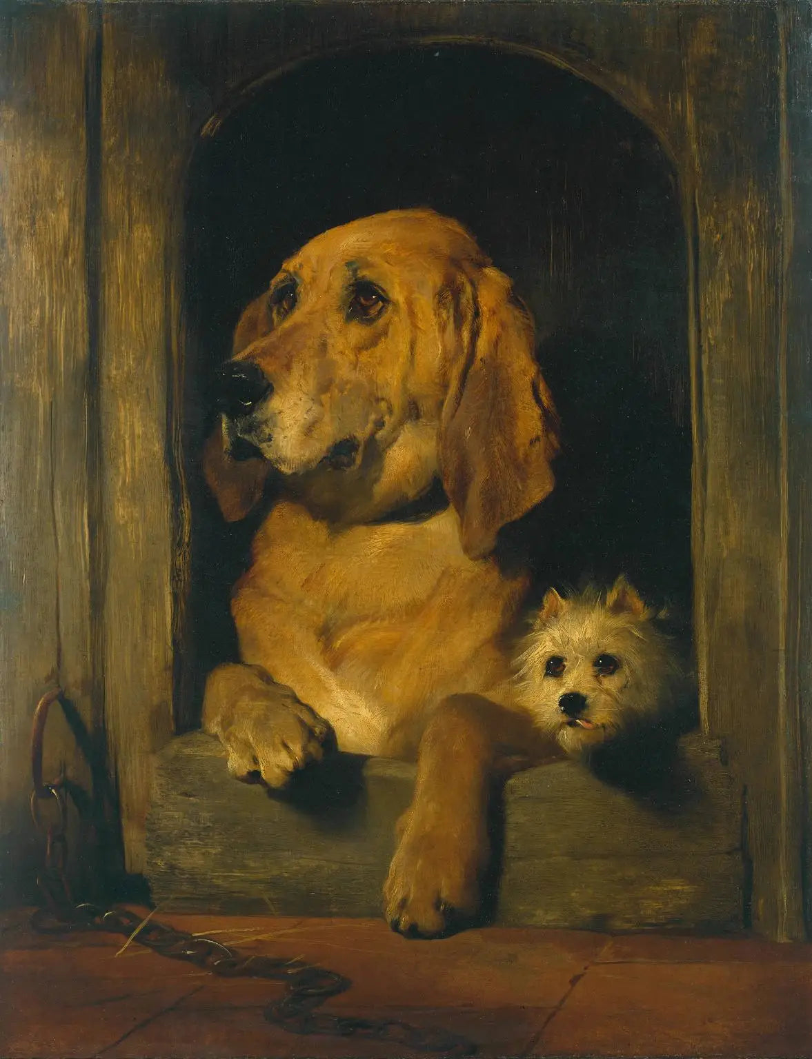 Dignité et impudence - Edwin Henry Landseer image 1 copie peinte à la main à l’huile