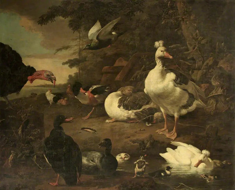 Truthahn, Gänse, Belon-Tauchenten und anderes Geflügel in einer Landschaft mit einem Bach - Melchior de Hondecoeter