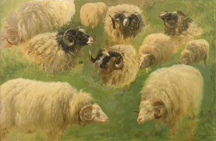 Zehn Studien eines Widder - Rosa Bonheur