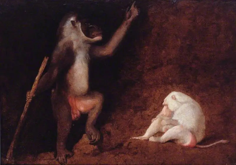 Drill und Albino-Affe - George Stubbs