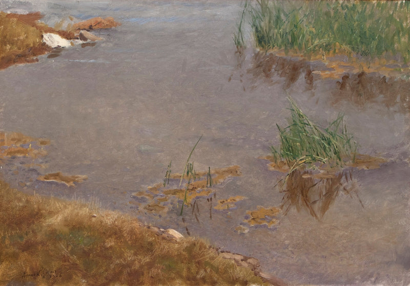 Flache Gewässer – Bruno Liljefors