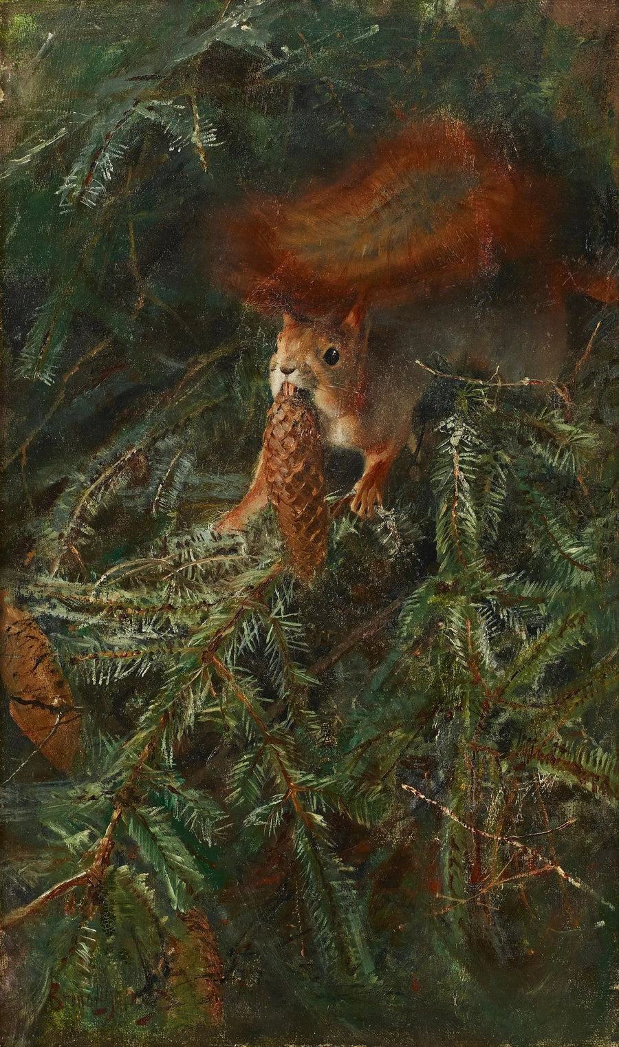 Eichhörnchen - Bruno Liljefors