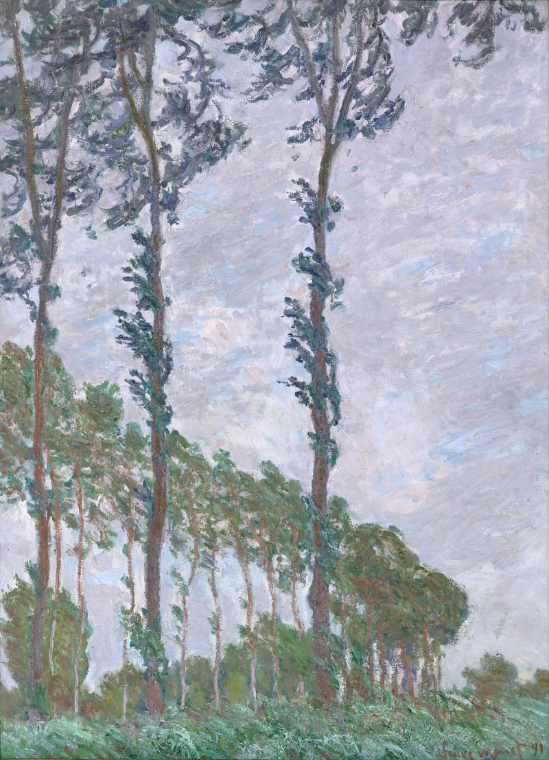 Windeffekt, Poplars-Serie W1302 - Claude Monet