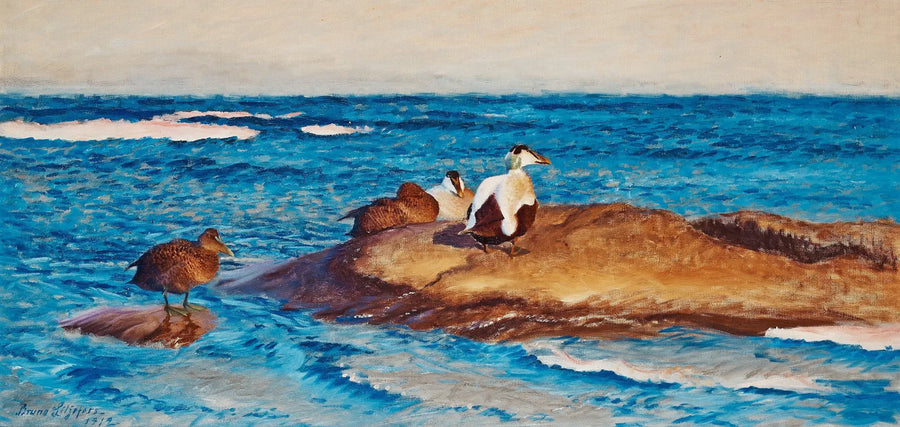 Eiderenten auf kleinen Inseln – Bruno Liljefors