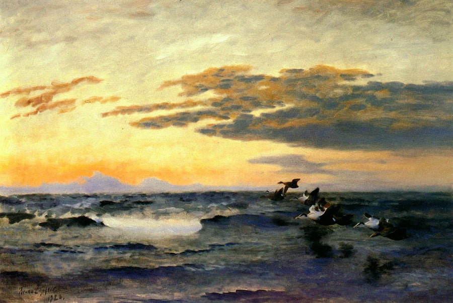 Eiderenten bei Sonnenaufgang - Bruno Liljefors