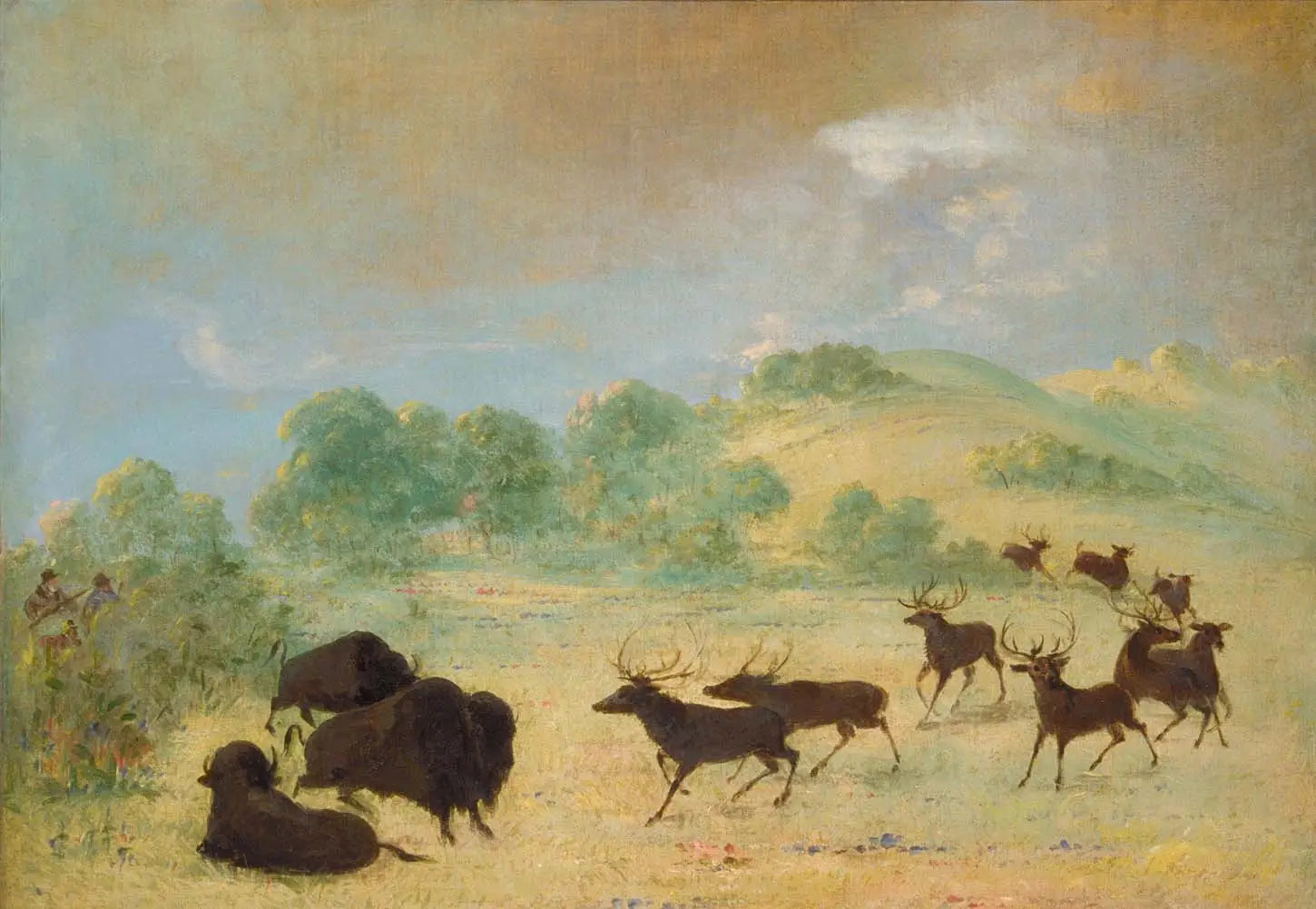 Élan et bison faisant connaissance, Texas - George Catlin image 1 reproduction réalisée par Alpha Reproduction