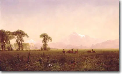 Élans grasen in der Wind River-Region - Albert Bierstadt