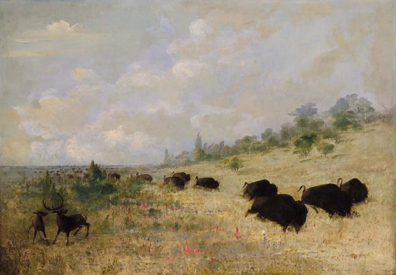 Elche und Bisons, die zwischen den Blumen der Wiesen weiden, Texas - George Catlin