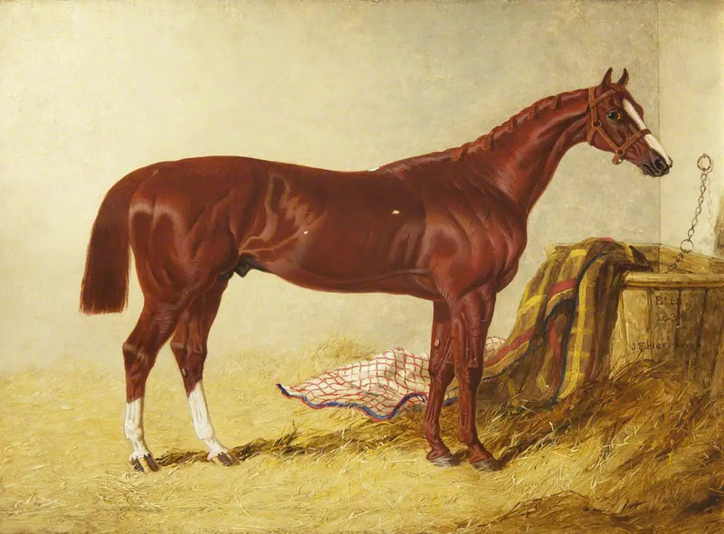 Elis, Sieger des St Leger Stakes, 1836, in einem separaten Stall - John Frederick Herring, Sr.