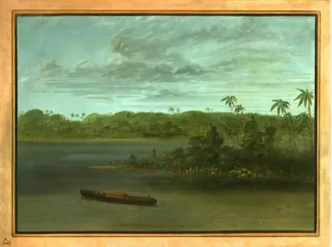 Embouchure du Rio Purus - George Catlin