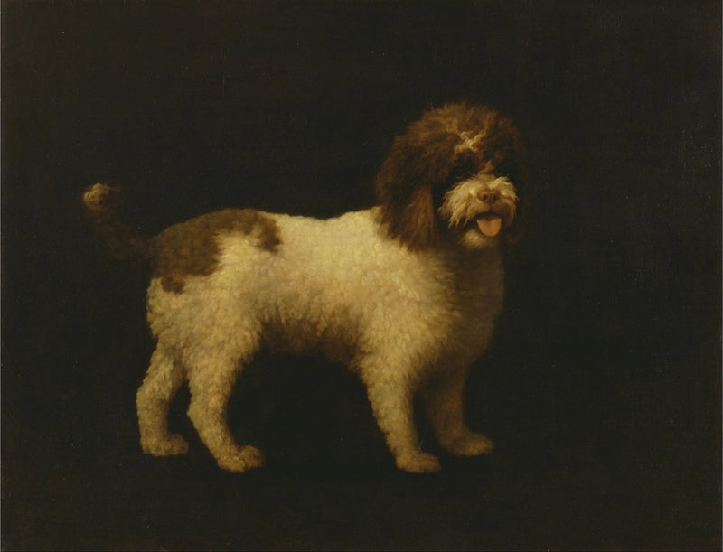 Wasserhund - George Stubbs