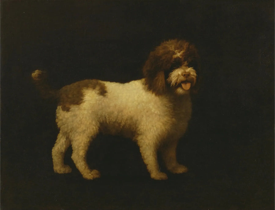 Wasserhund - George Stubbs