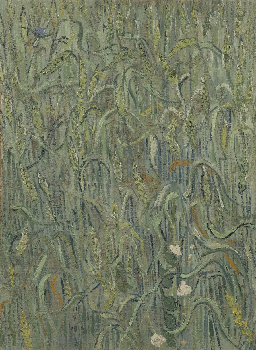 Weizenähren - Vincent van Gogh