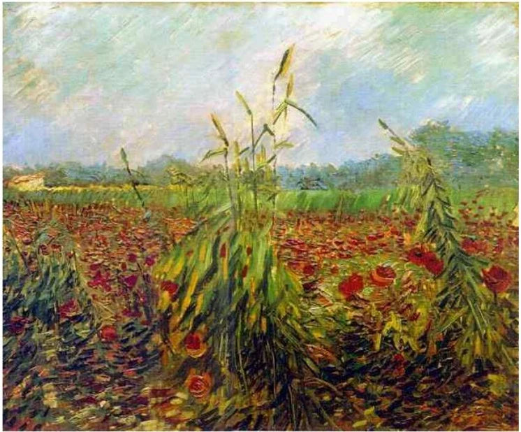 Grüne Weizenähren - Vincent van Gogh