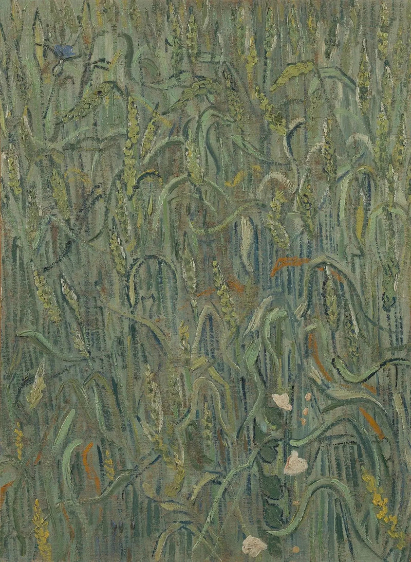 Weizenähren - Vincent van Gogh