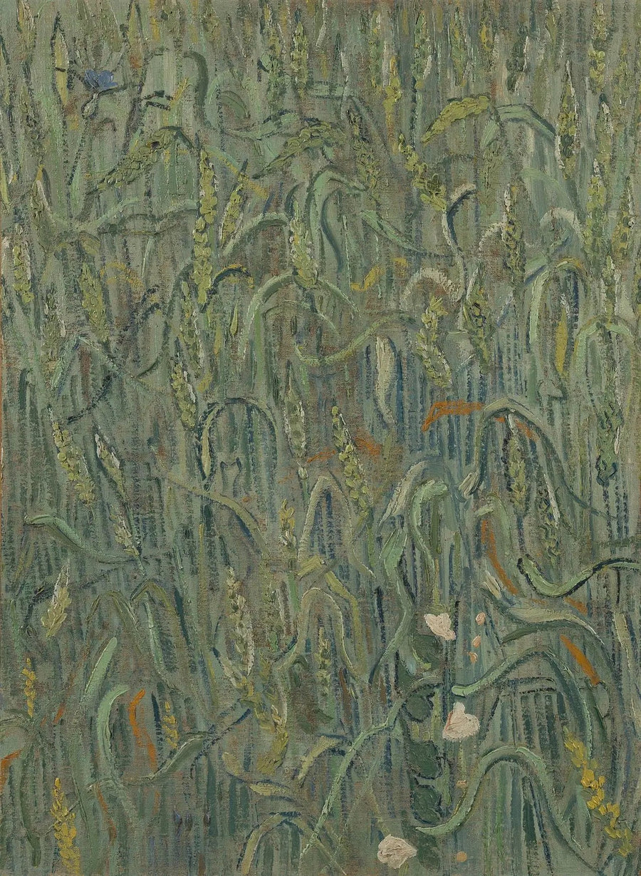 Weizenähren - Vincent van Gogh