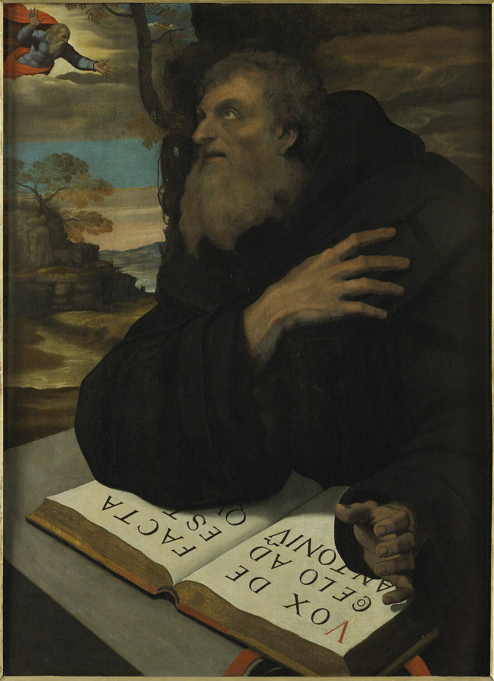 Ermite Saint-Antoine - Sebastiano del Piombo image 1 copie de tableau peinte à la main