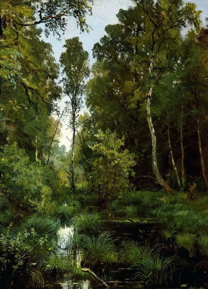 Teich, überwuchert von Vegetation am Waldrand. Siverskaya - Ivan Chichkine
