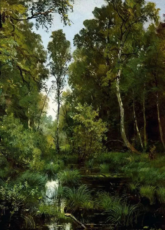 Teich, überwuchert von Vegetation am Waldrand. Siverskaya - Ivan Chichkine