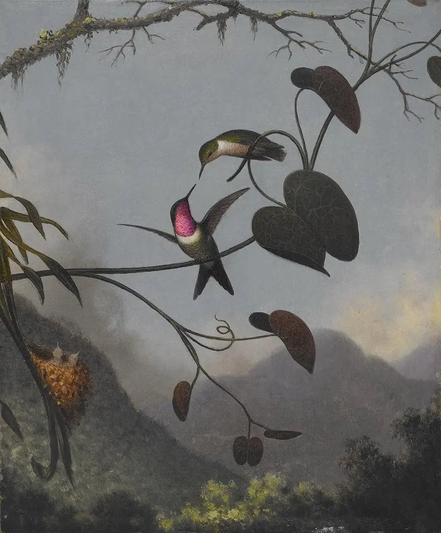 Étoile des bois améthyste - Martin Johnson Heade image 1 copie de tableau peinte à la main