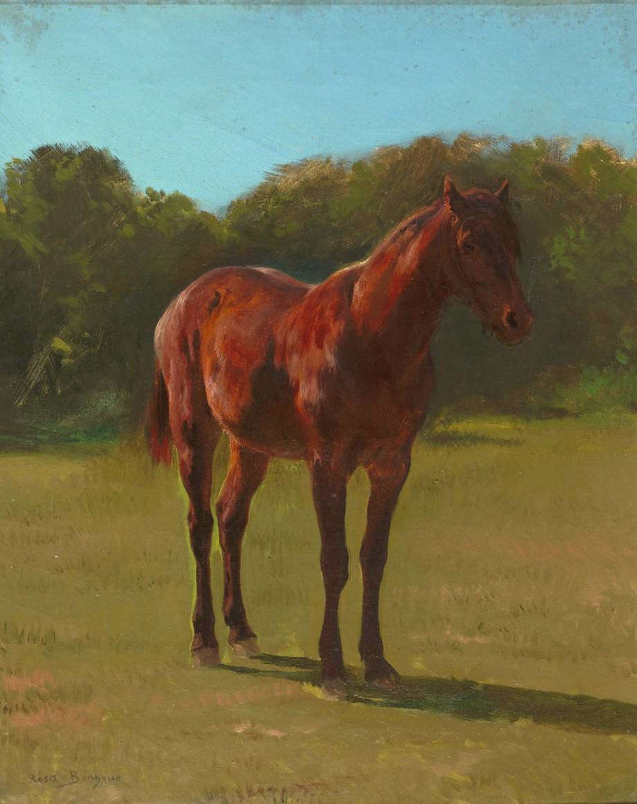 Studie eines braunen Pferdes - Rosa Bonheur
