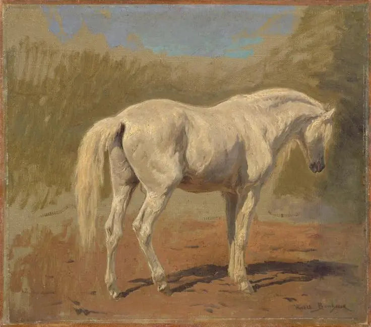 Studie eines weißen Pferdes - Rosa Bonheur
