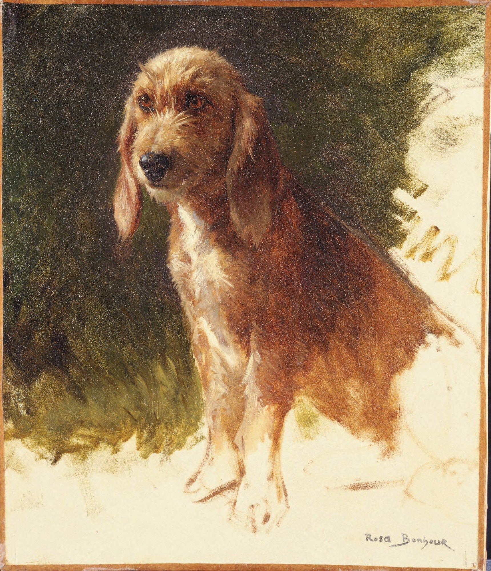 Studie eines Hundes - Rosa Bonheur