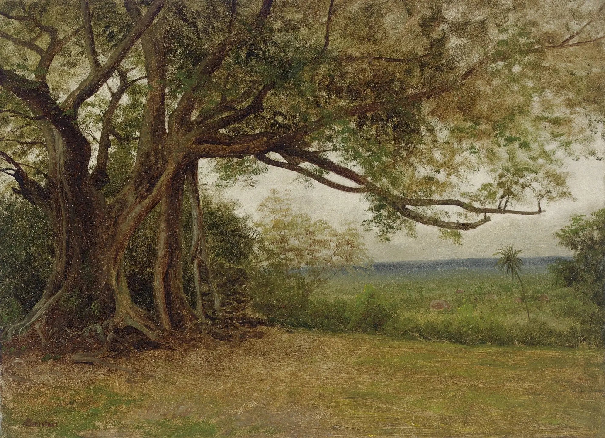 Étude pour « Le Débarquement de Colomb » - Albert Bierstadt - Alpha Reproduction