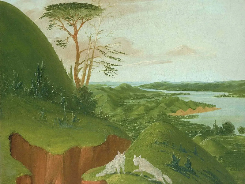 Flussklippen mit weißen Wölfen im Vordergrund, Haut-Missouri - George Catlin